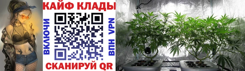 Что такое Наволоки ГАШ  Марихуана  МЕГА ТОР  Амфетамин  КОКАИН  МЕФ  А ПВП 