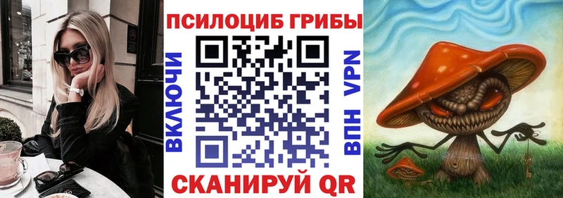 Галлюциногенные грибы Psilocybe купить наркотики сайты Наволоки